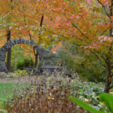 Autunno nel giardino di Carol – FineGardening