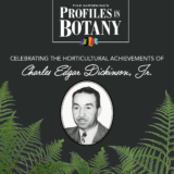 Profili in botanica: Charles Edgar Dickinson, Jr.