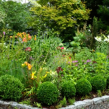 Esplora un giardino del New England ricco di colori intensi