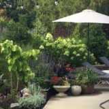 Il giardino della Carolina del Nord di Lisa – FineGardening